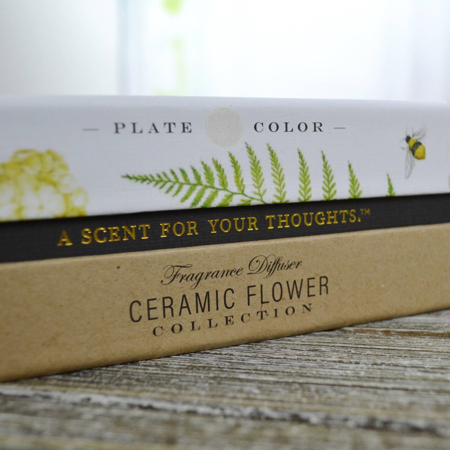 Ceramic Flower Diffuser: Sunrise Dew white plate