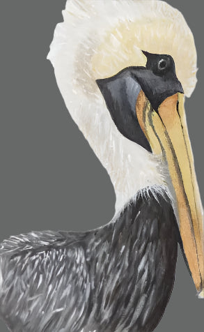 Pelican Acrylic Ornament
