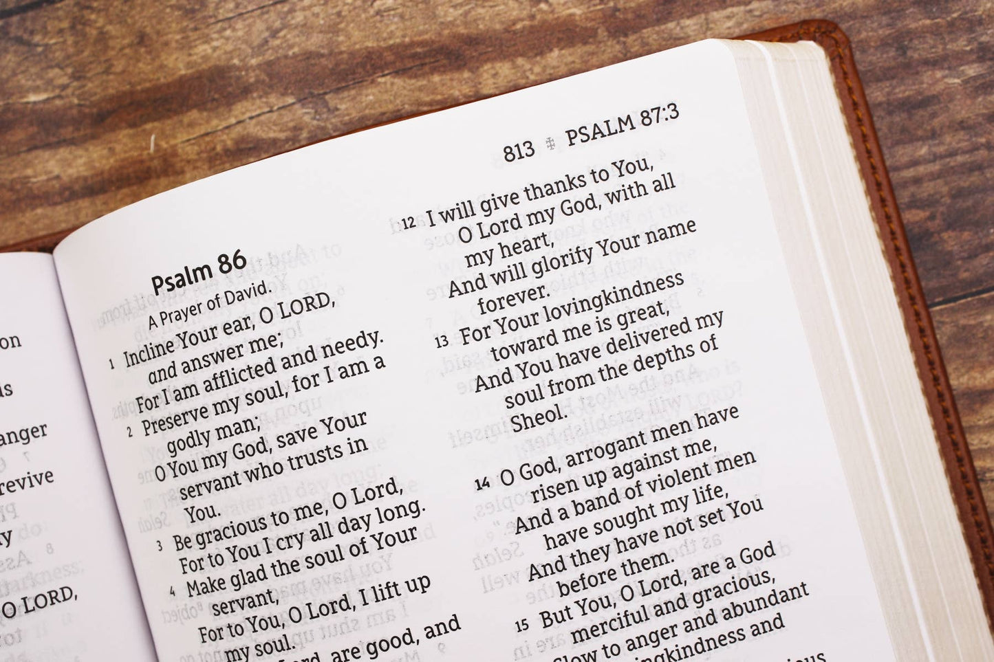 Bible brown Leathersoft Personal Size NASB Large Print