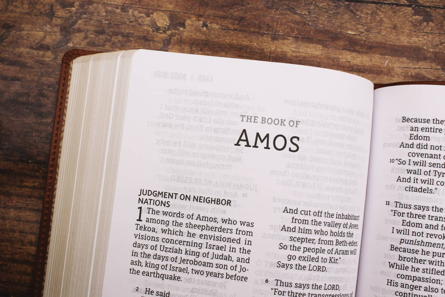 Bible brown Leathersoft Personal Size NASB Large Print