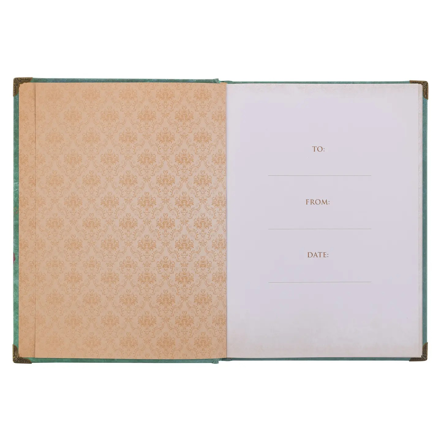 Teal Butterfly Hope Journal Isaiah 40:31