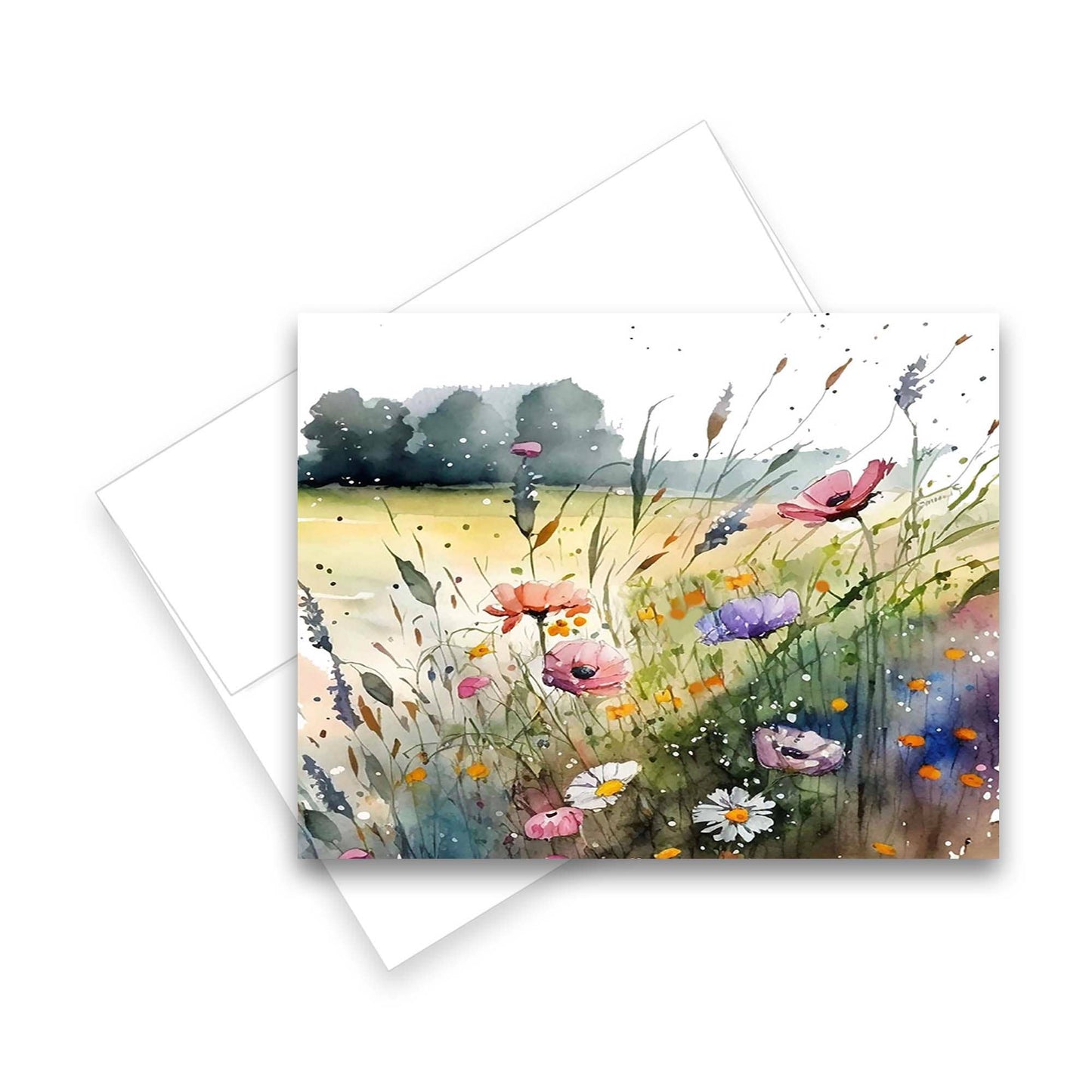 Greeting Cards: Assorted Watercolor Wildflower 6pk