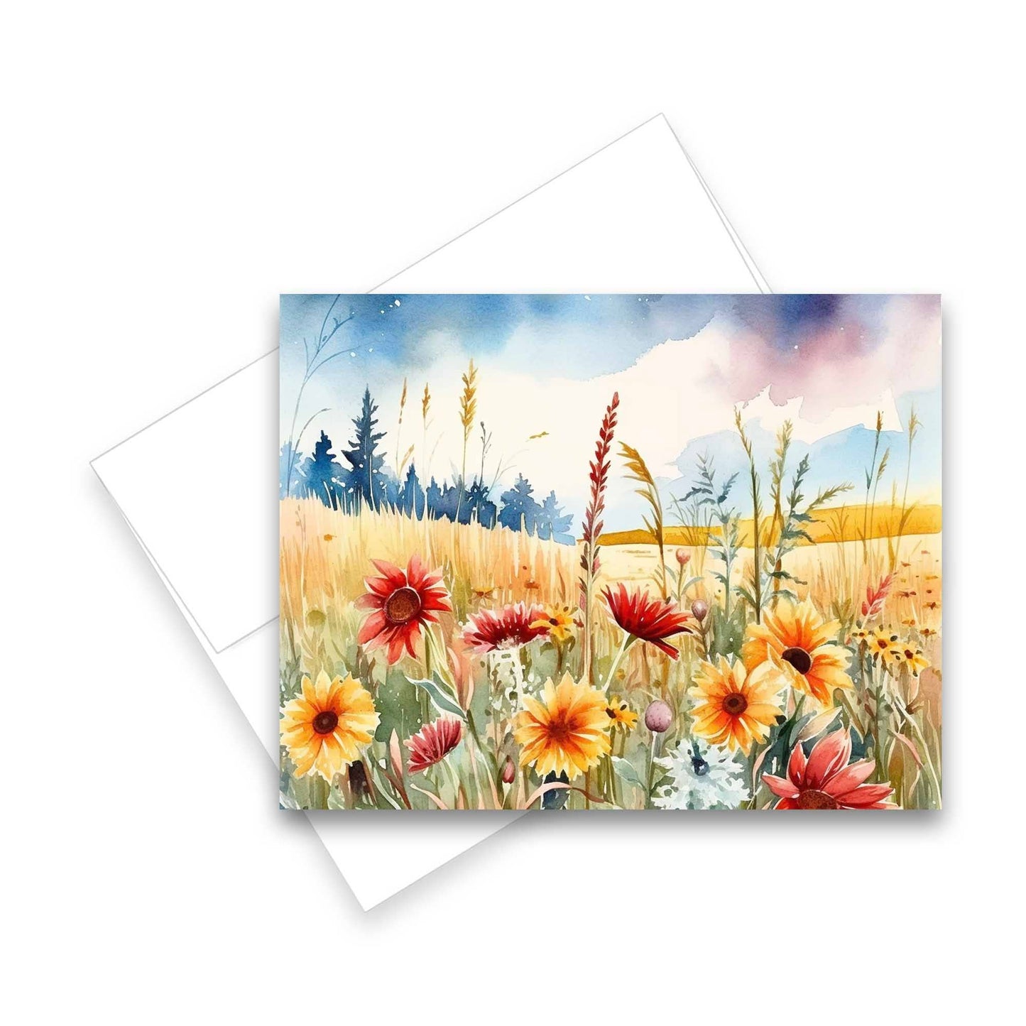 Greeting Cards: Assorted Meadow 6pk