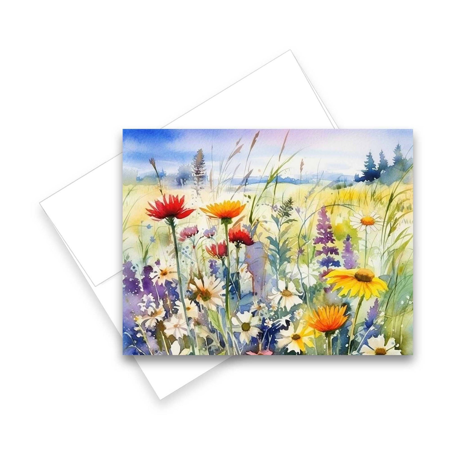 Greeting Cards: Assorted Meadow 6pk