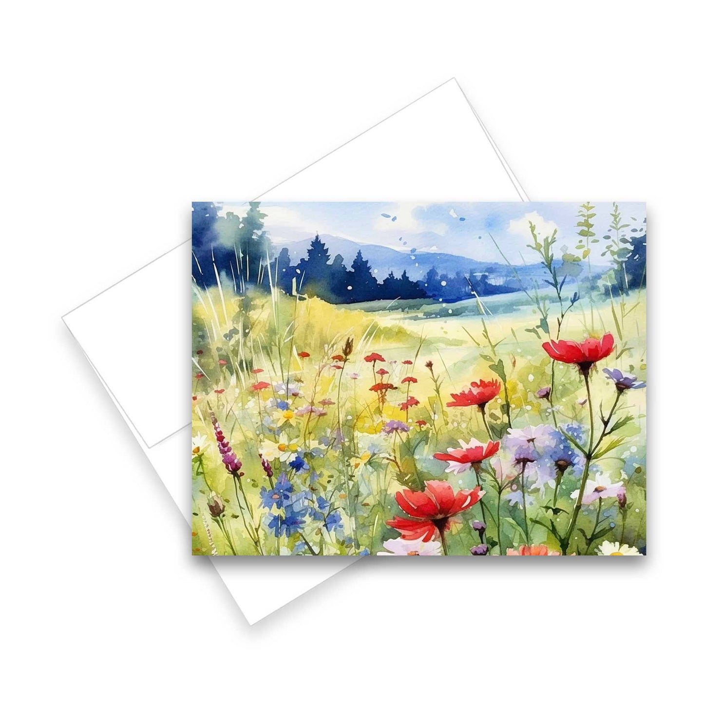 Greeting Cards: Assorted Meadow 6pk