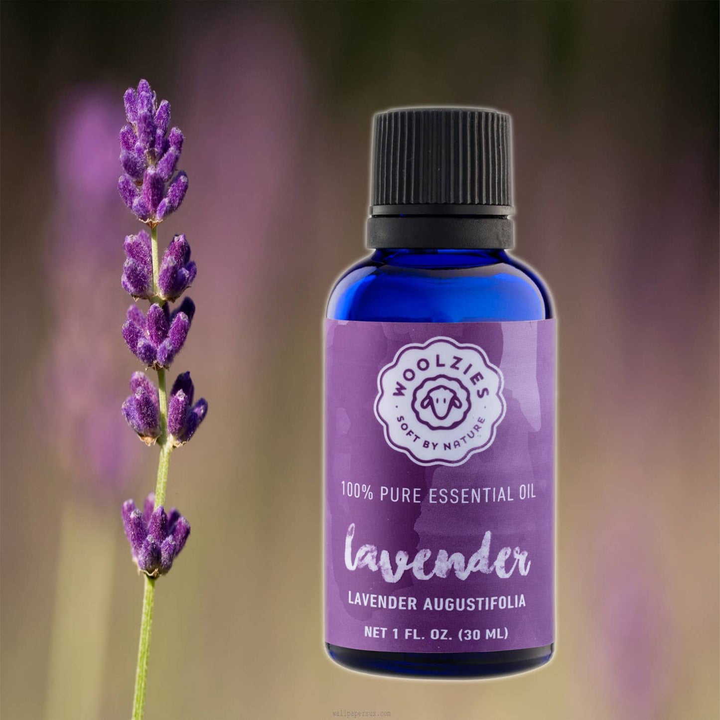 Lavender Essential Oil: 10 ML