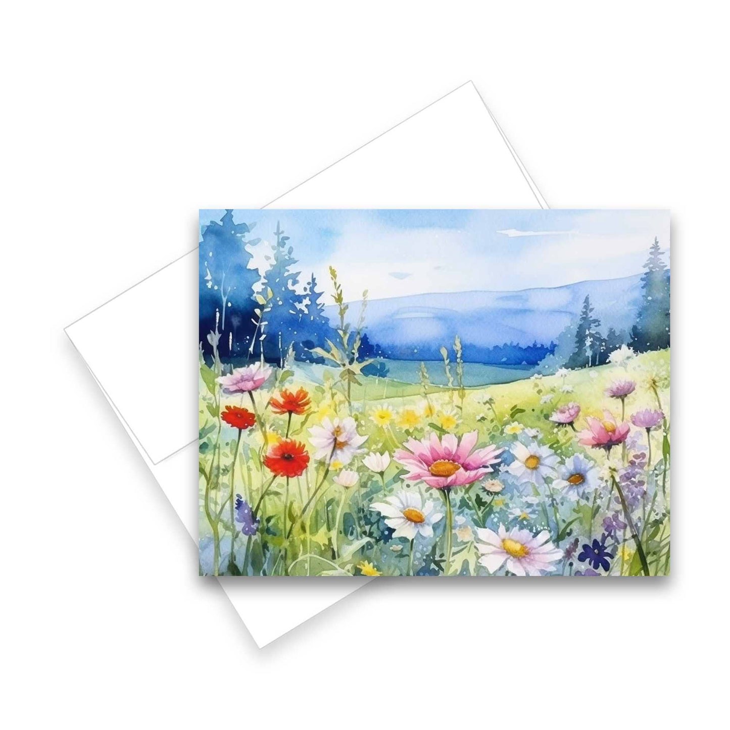 Greeting Cards: Assorted Meadow 6pk