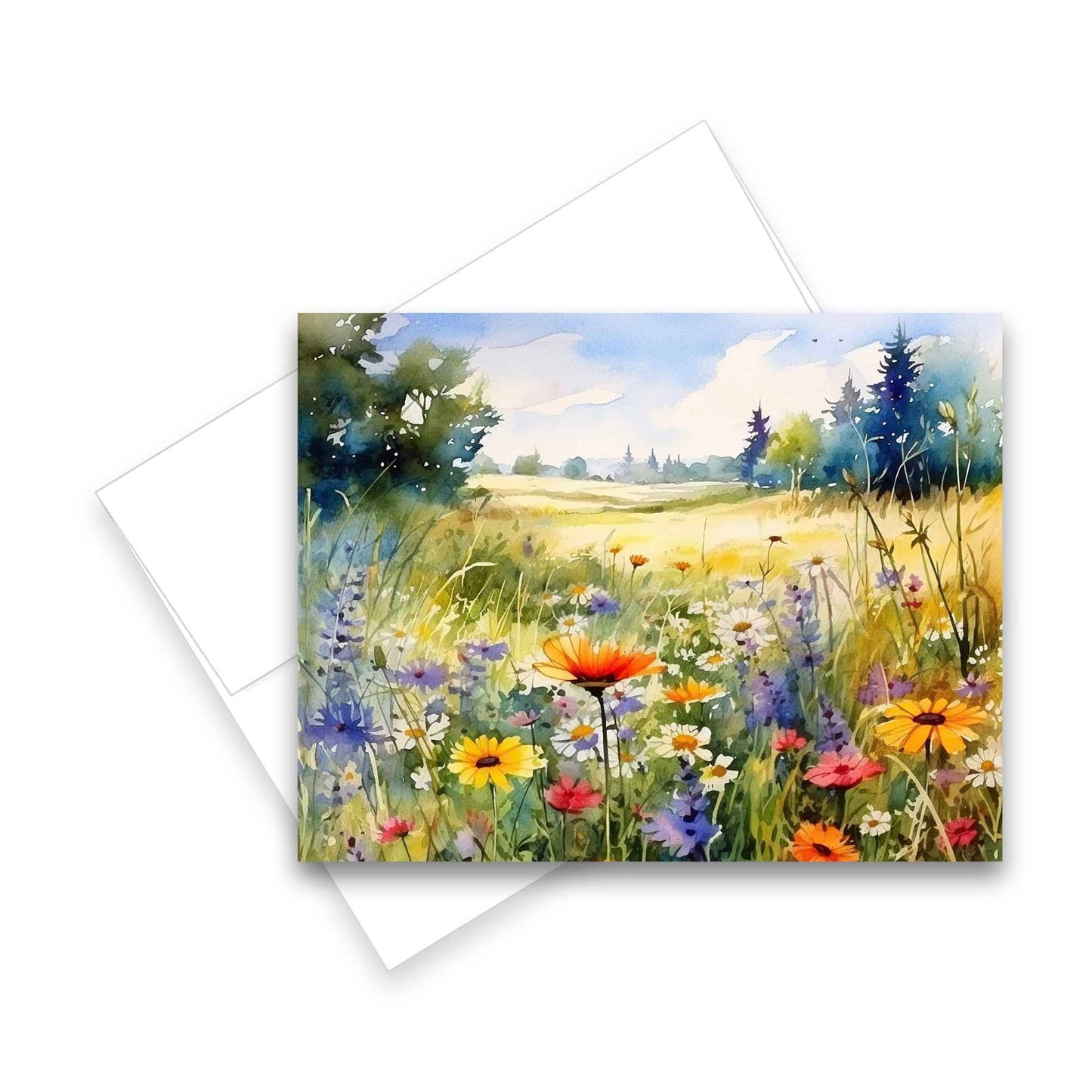 Greeting Cards: Assorted Meadow 6pk