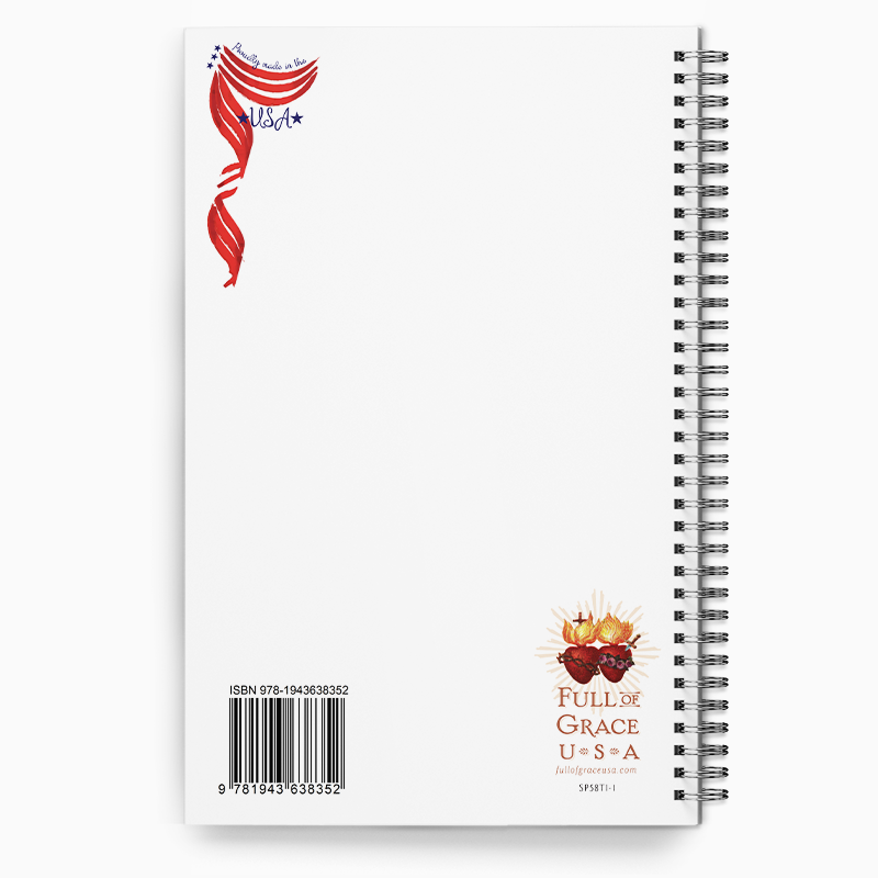 Journal- The Innocence