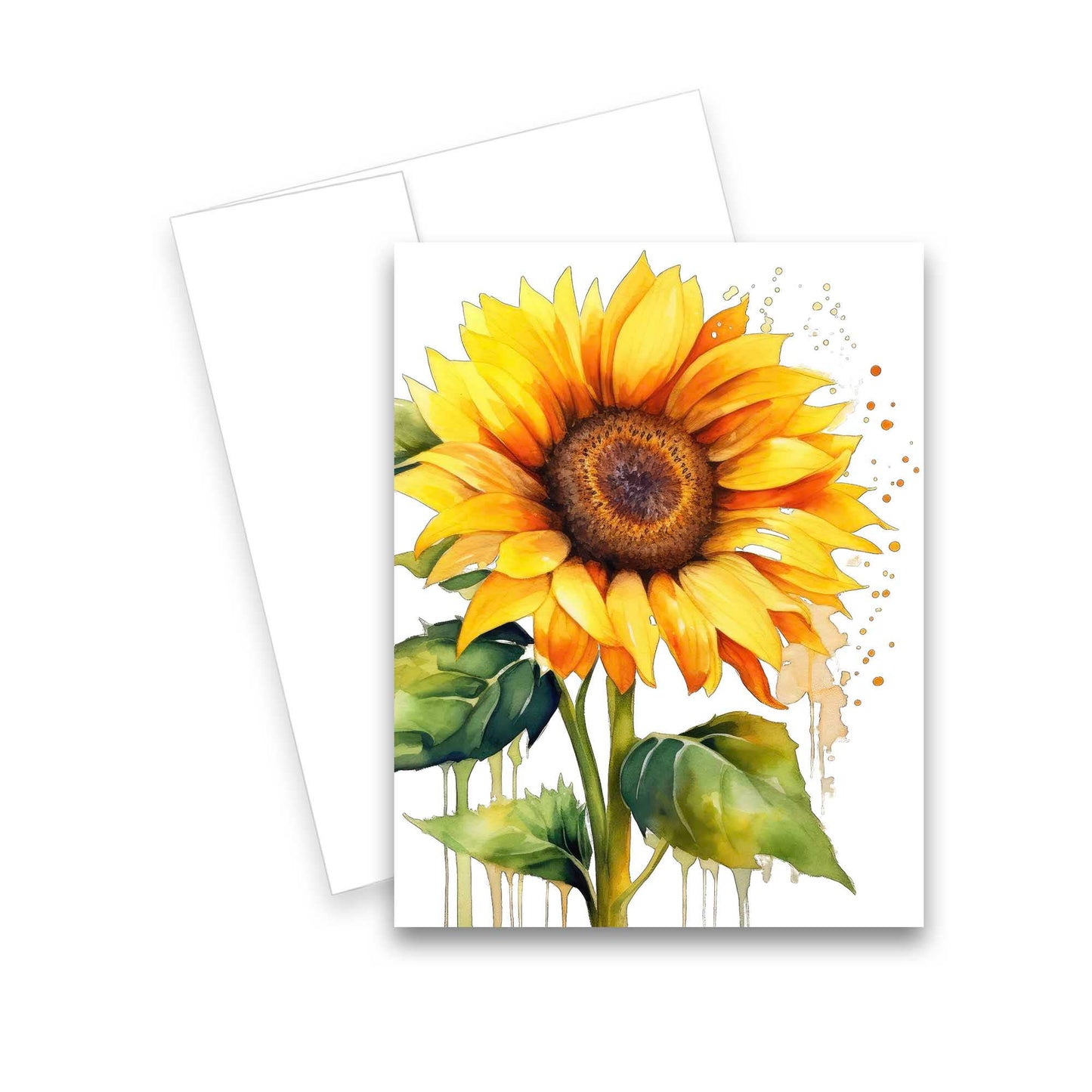 Greeting Cards- Assorted Sunflower Blank Notecards 6pk