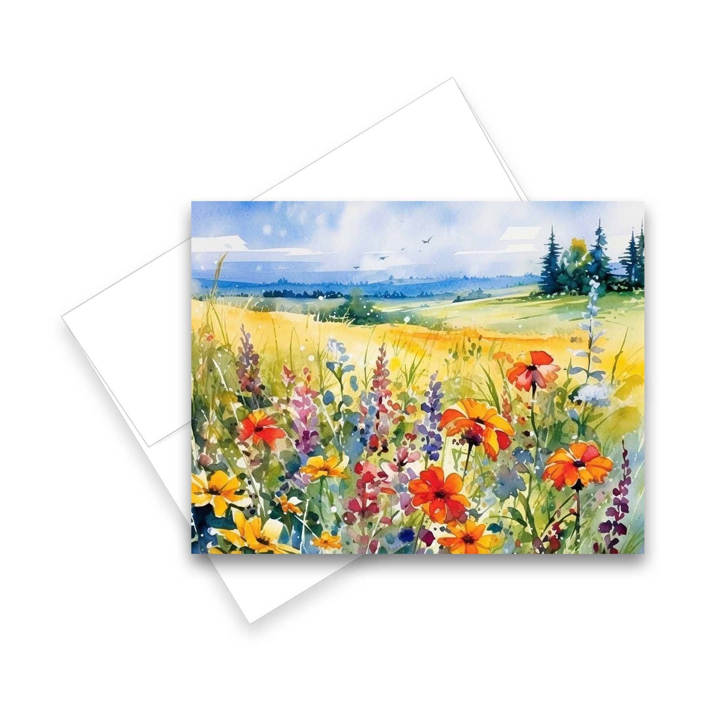 Greeting Cards: Assorted Meadow 6pk